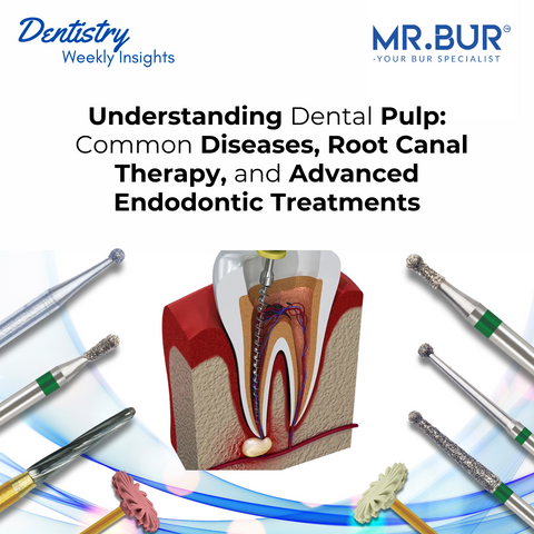 Understanding dental pulp health, common diseases, and treatments, including root canal therapy and advanced endodontic procedures, using Mr. Bur Endodontics Bur collection for precision and effective pulp management.